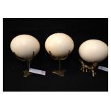 Ostrich Eggs with  brass stands - 3
