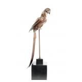 Vintage Art Deco Bronze Macaw Statue