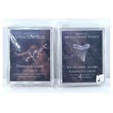 Cased Spinosaurus and Megalodon Fossil specimens