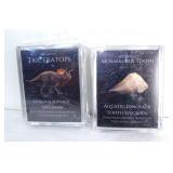 Triceratops Fossil & Mosasaurus Tooth