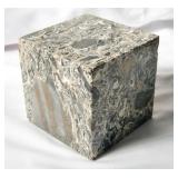 Rare polished Fossil from Los Angeles Arco Dig