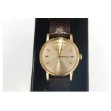 IWC Schaffhausen 18kt  Men