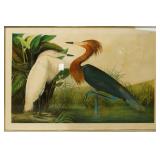 John James Audubon (1785 - 1851) J. Bein Red Egret