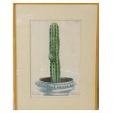 Antqiue German Botanical color engraving