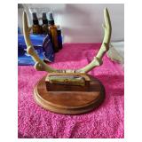 Deer Antler Stand & Knife