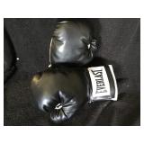 Everlast Boxing Gloves