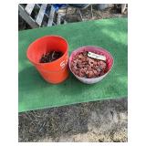 (2) BUCKET OF NAILS
