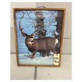 DEER PICTURE 17" x 21"