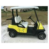 New Model Golf Cart