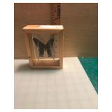 Shadow Box Butterfly