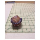 Seashell Trinket Box