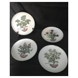 Set of 4 Decorative Plates - Herbs