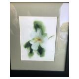Wall Art - White Flower Wall Art - White Flower