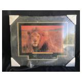 Framed Lion Print