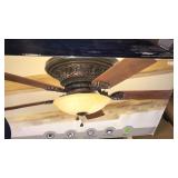 Ceiling fan light