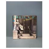 SHEILA E. in the glamorous life record SHEILA E. in the glamorous life record