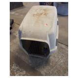 Medium size pet carrier: Needs cleaning