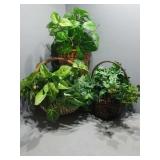 Artificial Plants in Baskets
