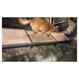 Pet gear dog ramp