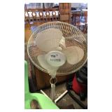 White ossicating fan