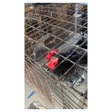 Black Coachin Rooster