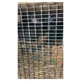 pied spaulding peacock