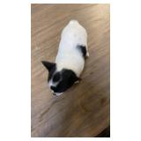 female puppy black and white