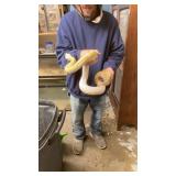 Female purple motley python