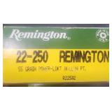 22-250 Remington 20 rounds