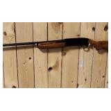 Colts pump pt 12 gauge 74336