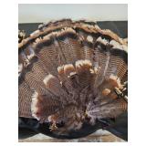 7 turkey feathers