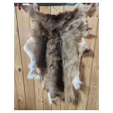Deer Hide