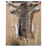 Deer Hide