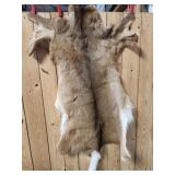 Deer Hide