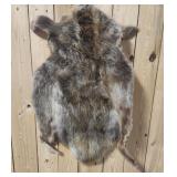 Beaver Hide