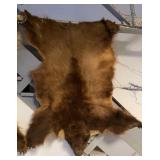 bear hide