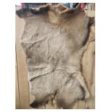 1/2 of Elk Hide