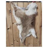 1/2 Antelope Hide
