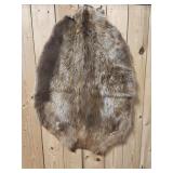 Beaver Hide