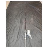 Daiwa fishing rod and reel