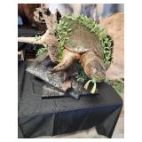 Snapping turtle mount