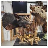Wild boar mount over $2000 in cost to mount