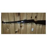 Lion brand air rifle .177