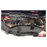 Matthewï¿½s bow in case 10 arrows  3 rage