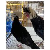 black white polish pair