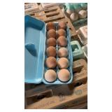 BYM/ Copper Marhan eggs