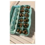 36 button quail eggs