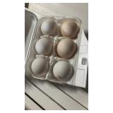 half dozen zombie eggs