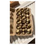 36 quail eggs