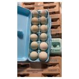dozen F1 olive egger eggs